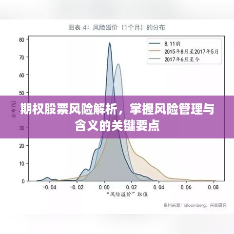 期权股票风险解析，掌握风险管理与含义的关键要点