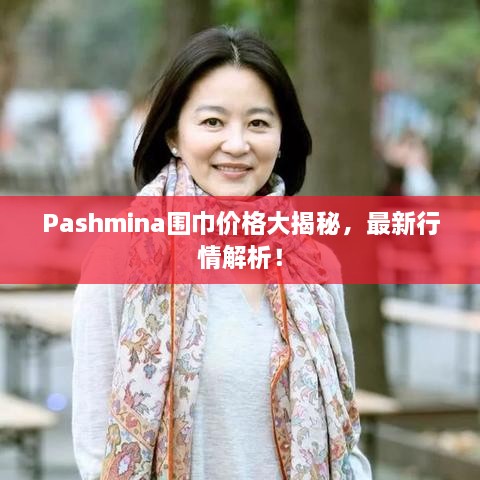 Pashmina围巾价格大揭秘，最新行情解析！