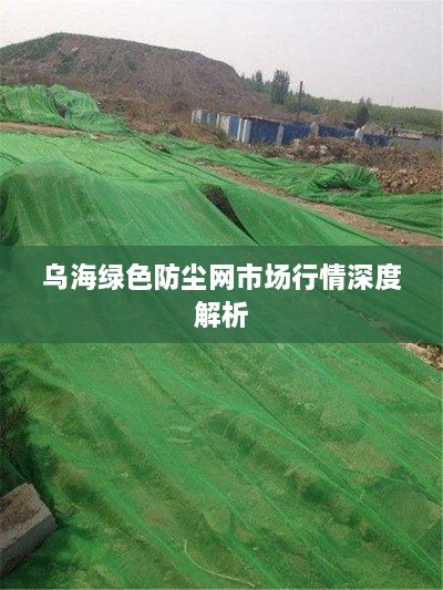 乌海绿色防尘网市场行情深度解析