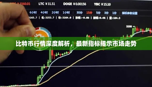 比特币行情深度解析，最新指标揭示市场走势