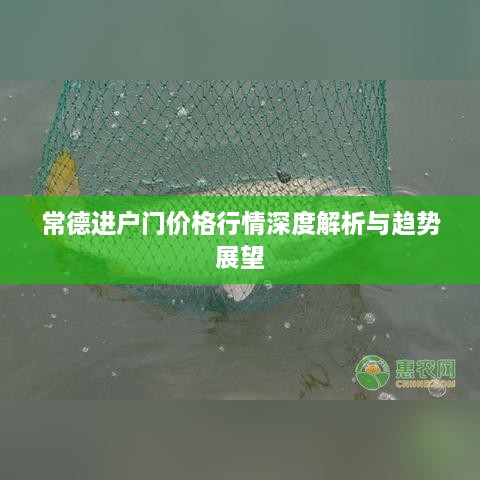 常德进户门价格行情深度解析与趋势展望