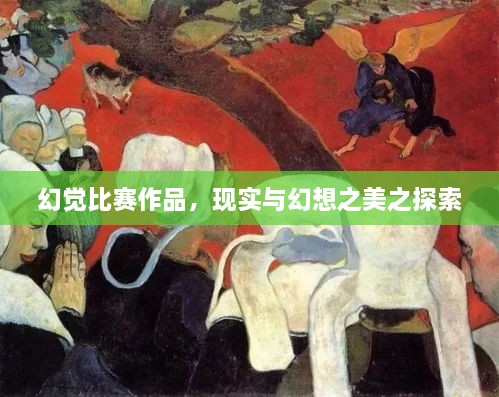 幻觉比赛作品，现实与幻想之美之探索