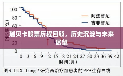 瑞贝卡股票历程回顾，历史沉淀与未来展望