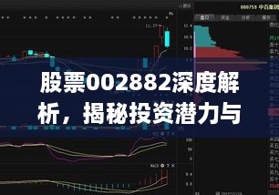 股票002882深度解析，揭秘投资潜力与价值所在