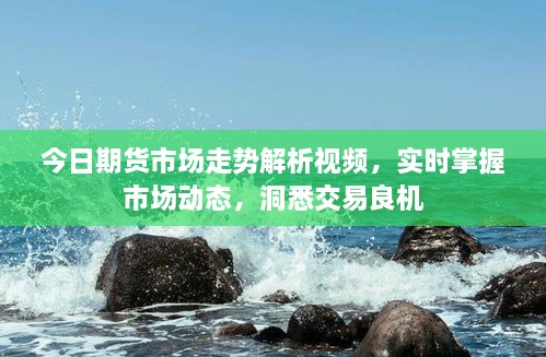 今日期货市场走势解析视频，实时掌握市场动态，洞悉交易良机