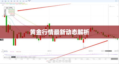 黄金行情最新动态解析