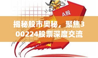 揭秘股市奥秘，聚焦300224股票深度交流