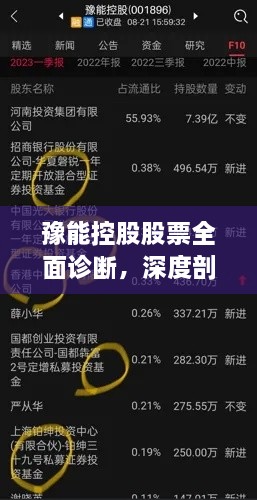 豫能控股股票全面诊断，深度剖析、未来展望与投资建议