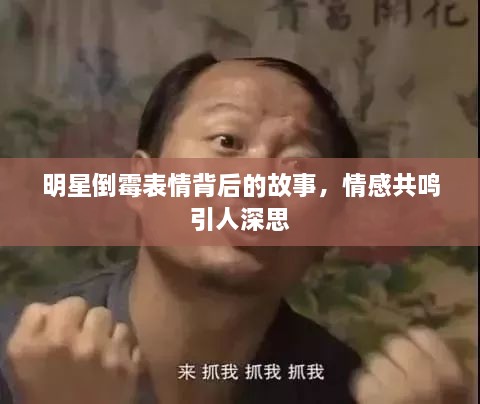 明星倒霉表情背后的故事，情感共鸣引人深思