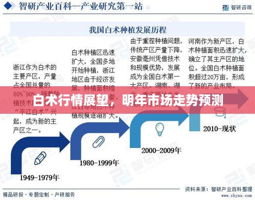 白术行情展望，明年市场走势预测