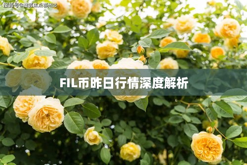 FIL币昨日行情深度解析