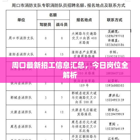 周口最新招工信息汇总，今日岗位全解析