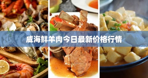 威海鲜羊肉今日最新价格行情