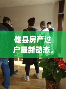 雄县房产过户最新动态，能否过户及最新消息解析