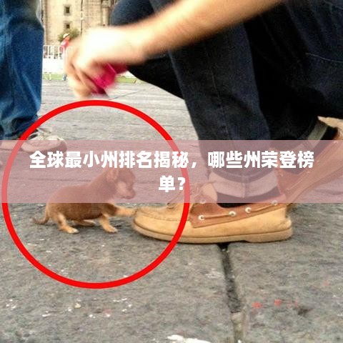 全球最小州排名揭秘，哪些州荣登榜单？