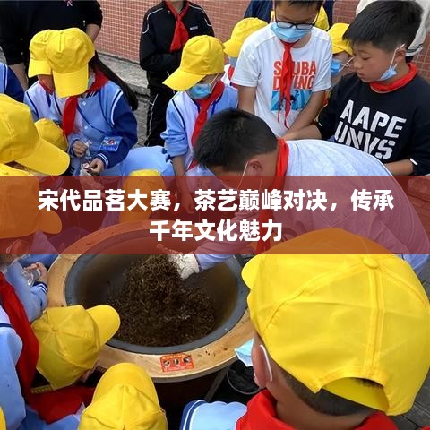 宋代品茗大赛，茶艺巅峰对决，传承千年文化魅力