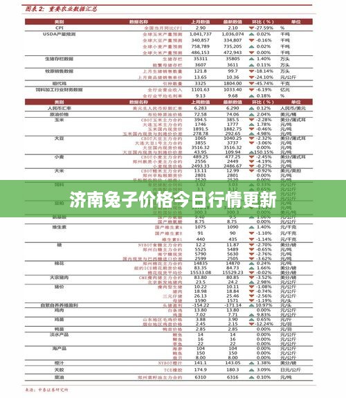 2025年1月11日 第9页