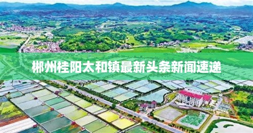 郴州桂阳太和镇最新头条新闻速递