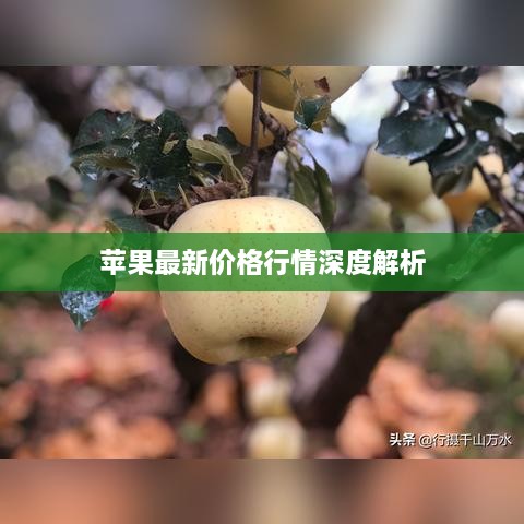 苹果最新价格行情深度解析