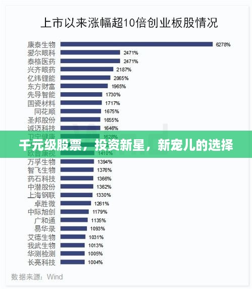 千元级股票，投资新星，新宠儿的选择