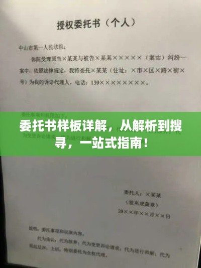 委托书样板详解，从解析到搜寻，一站式指南！