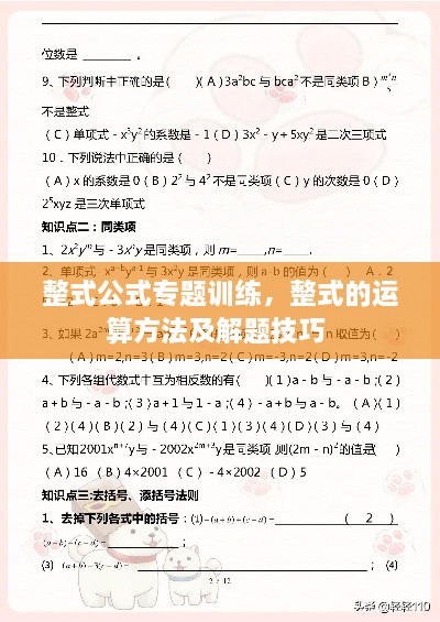 整式公式专题训练，整式的运算方法及解题技巧 