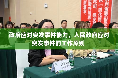 政府应对突发事件能力，人民政府应对突发事件的工作原则 