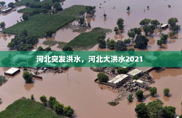 河北突发洪水，河北大洪水2021 