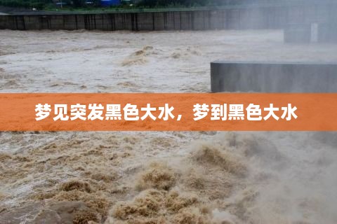 梦见突发黑色大水，梦到黑色大水 