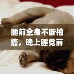 睡前全身不断抽搐，晚上睡觉前身体会抽搐一下 