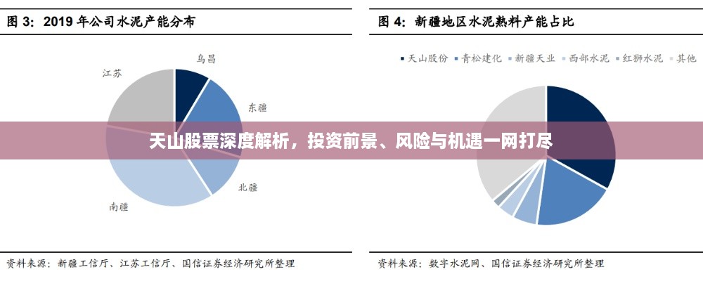 天山股票深度解析，投资前景、风险与机遇一网打尽