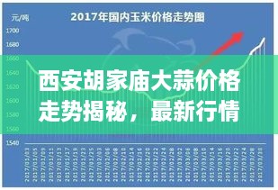 西安胡家庙大蒜价格走势揭秘，最新行情分析与预测