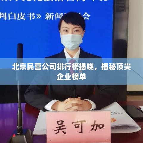 北京民营公司排行榜揭晓，揭秘顶尖企业榜单