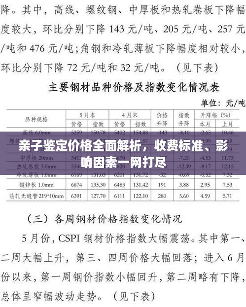 亲子鉴定价格全面解析，收费标准、影响因素一网打尽