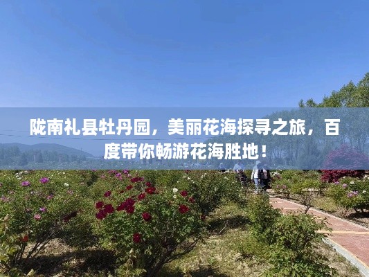 陇南礼县牡丹园，美丽花海探寻之旅，百度带你畅游花海胜地！