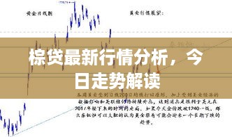 棕贷最新行情分析，今日走势解读