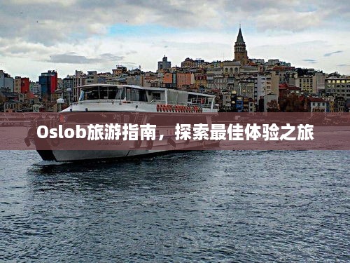 Oslob旅游指南，探索最佳体验之旅