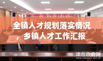 全镇人才规划落实情况，乡镇人才工作汇报 