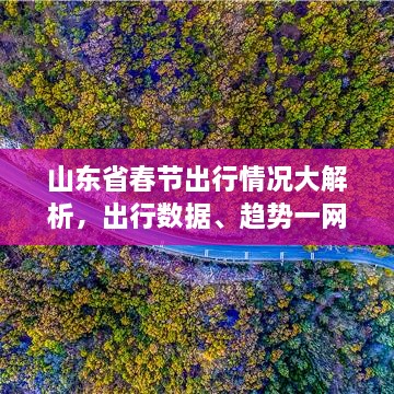 山东省春节出行情况大解析，出行数据、趋势一网打尽！