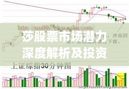 莎股票市场潜力深度解析及投资策略探索