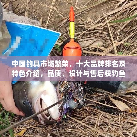 中国钓具市场繁荣，十大品牌排名及特色介绍，品质、设计与售后获钓鱼爱好者青睐