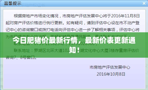 今日肥猪价最新行情，最新价表更新通知！