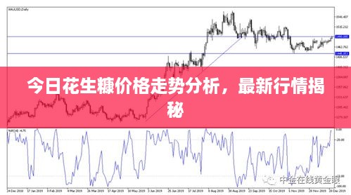 今日花生糠价格走势分析，最新行情揭秘