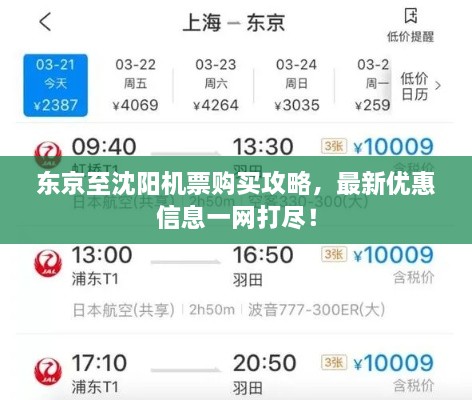 东京至沈阳机票购买攻略，最新优惠信息一网打尽！