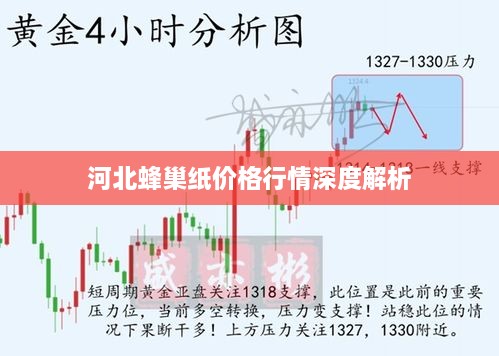 河北蜂巢纸价格行情深度解析