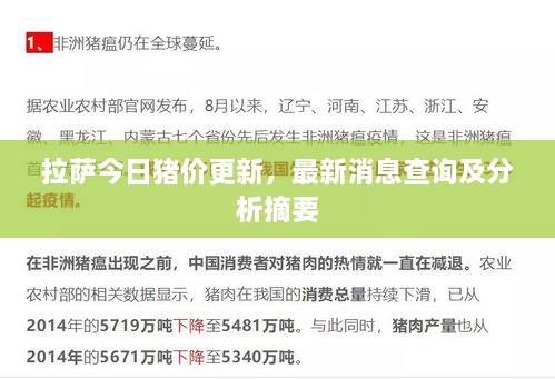 拉萨今日猪价更新，最新消息查询及分析摘要