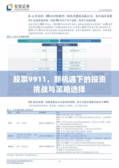 股票9911，新机遇下的投资挑战与策略选择