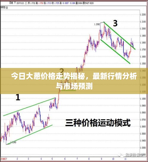 今日大葱价格走势揭秘，最新行情分析与市场预测