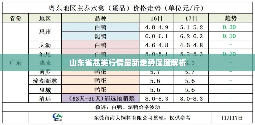 山东省禽类行情最新走势深度解析