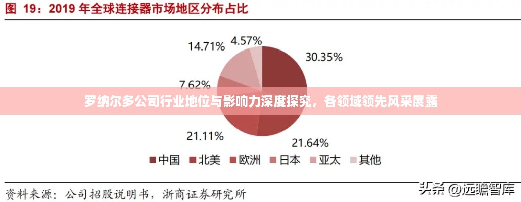 罗纳尔多公司行业地位与影响力深度探究，各领域领先风采展露